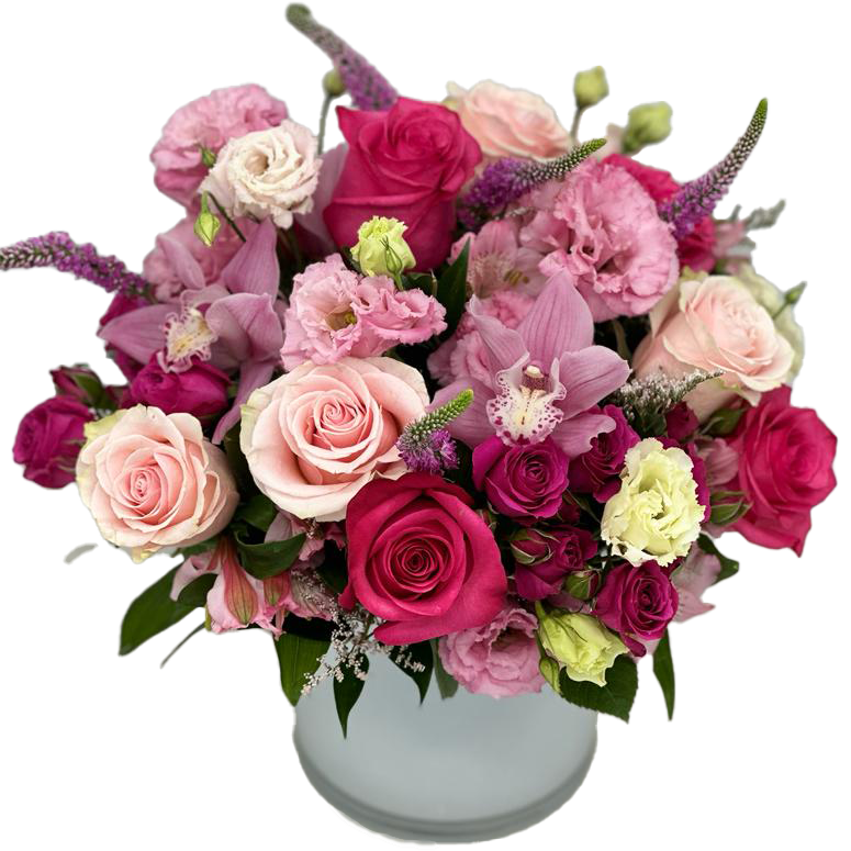 Burst of Love