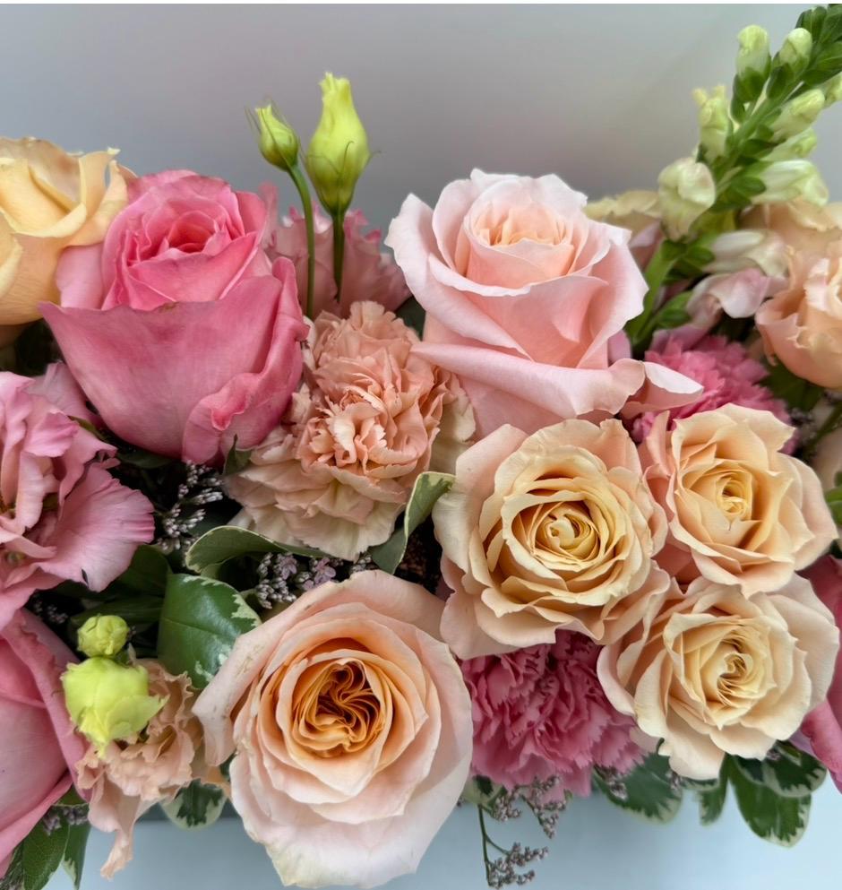 Coral & Rose Quartz