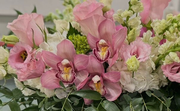 Pesach '26 Collection