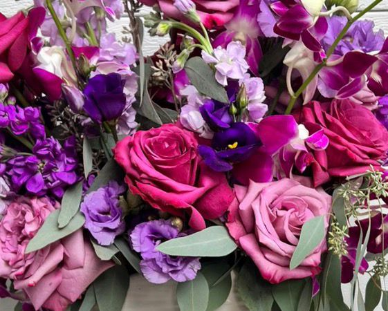 Bright Delight Pesach '26